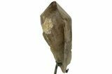 Huge Smoky Quartz Crystal on Metal Stand - Brazil #219132-4